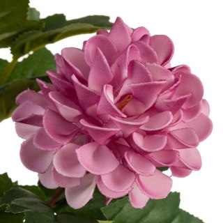 KWIAT FLORE 805 75 CM FIOLETOWY EUROFIRANY