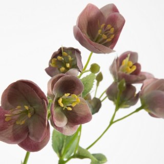 KWIAT NATU 433 40 CM JASNORÓŻOWY EUROFIRANY