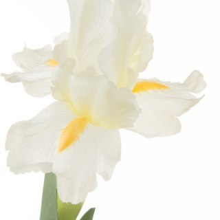 KWIAT NATU 330 70 CM KREMOWY EUROFIRANY