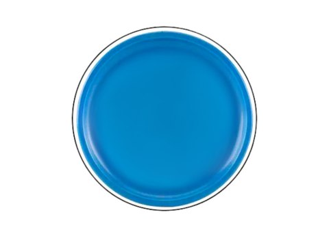 Dysk Latający Frisbee z Dinozaurem Niebieski 20 Cm LEAN TOYS