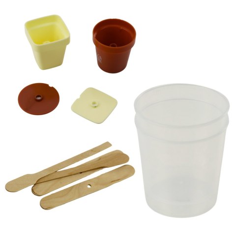 Zestaw Edukacyjny Hodowla Magiczne Drzewko Kryształowe LEAN Toys