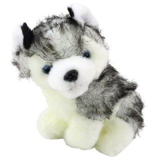 Piesek Husky W Torebce Pluszowy Maskotka Przytulanka Biało Szary LEAN Toys